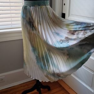 Zara Printed Pleated Skirt